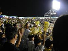 f0001378_23451314.jpg