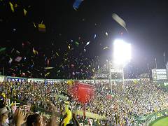 f0001378_23453878.jpg