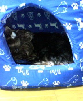 c0031582_20552722.jpg