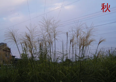e0066883_19401121.jpg