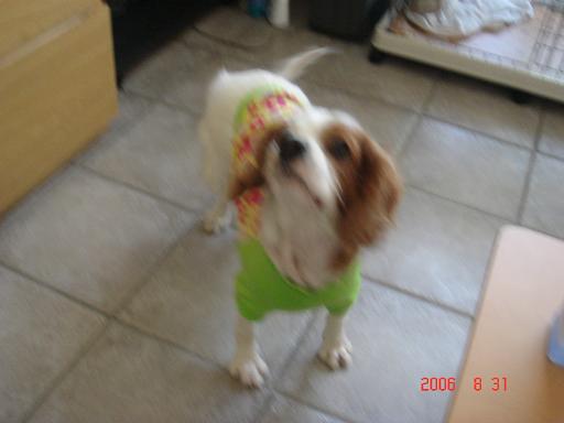 e0002891_10534662.jpg