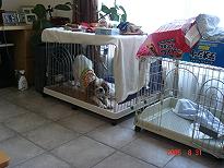 e0002891_1523966.jpg