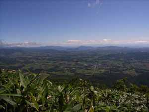 a0059206_23312922.jpg