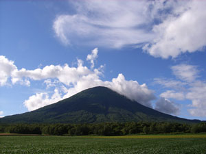 a0059206_2331926.jpg