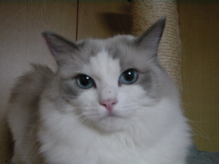 c0024410_23134583.jpg