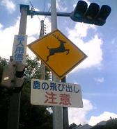 e0077910_2041640.jpg