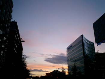e0038811_3395755.jpg
