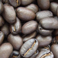 c0036617_18153850.jpg