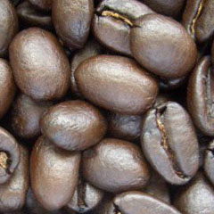 c0036617_18154988.jpg