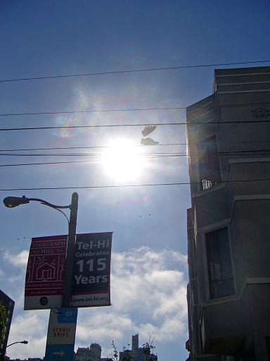 e0036628_7145246.jpg