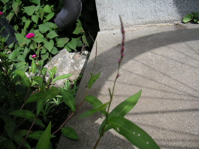a0020929_22232639.jpg