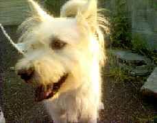 a0024829_9574141.jpg