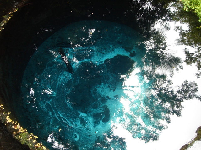 d0010531_79717.jpg