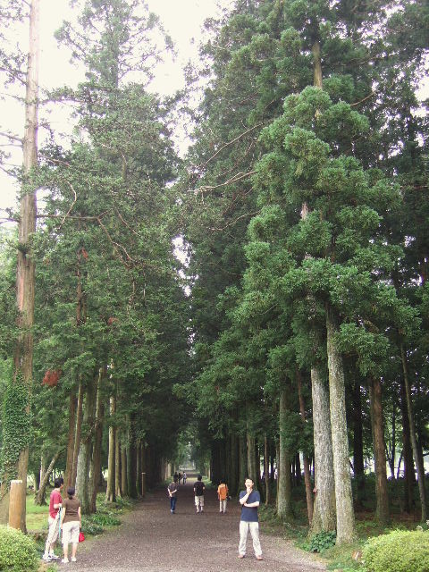 e0064133_1165114.jpg