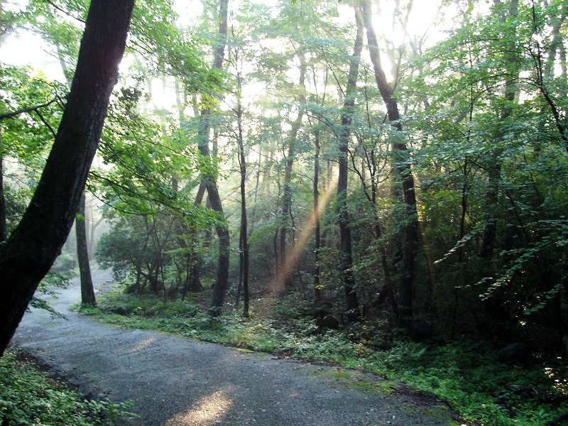 f0039234_19244289.jpg