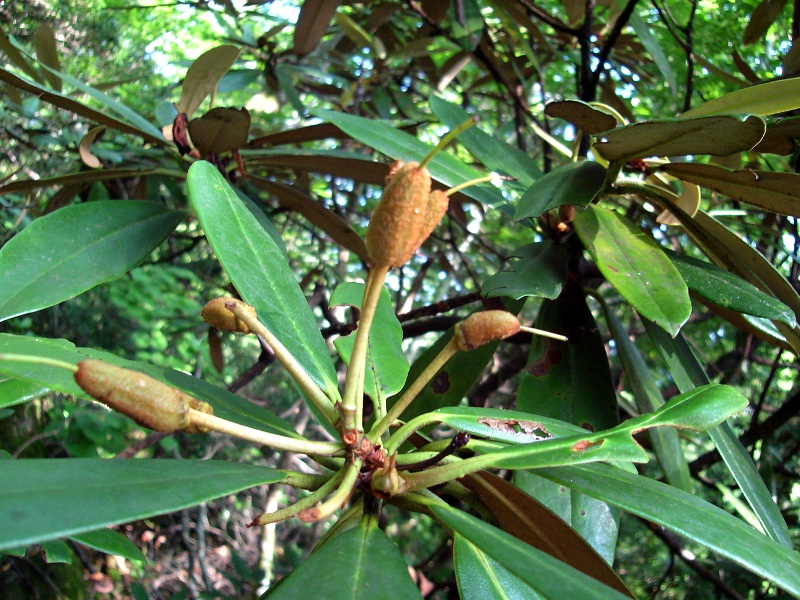 f0039234_19251263.jpg