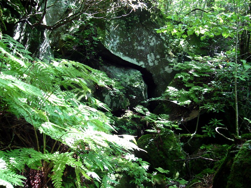 f0039234_1927113.jpg