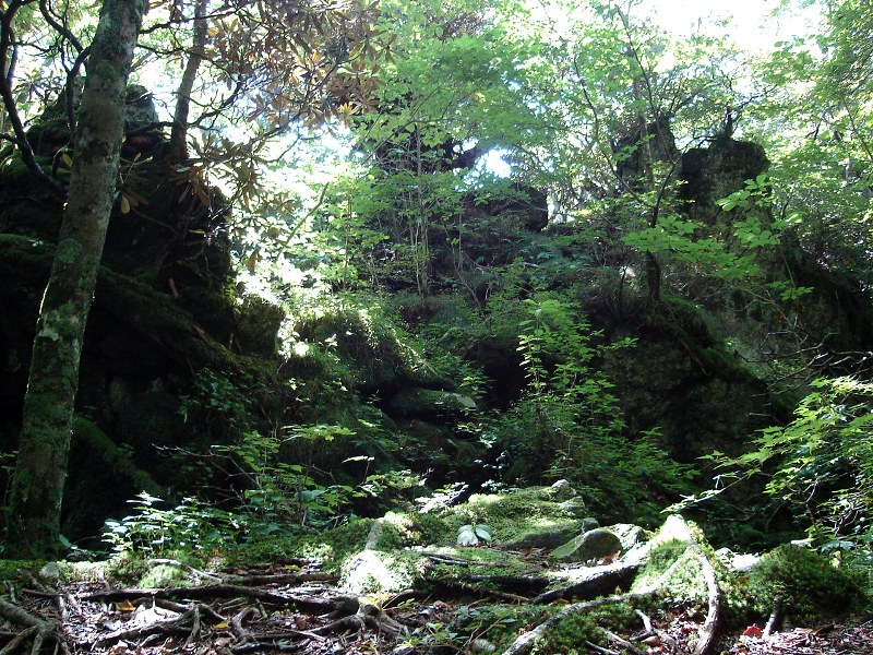 f0039234_19273972.jpg