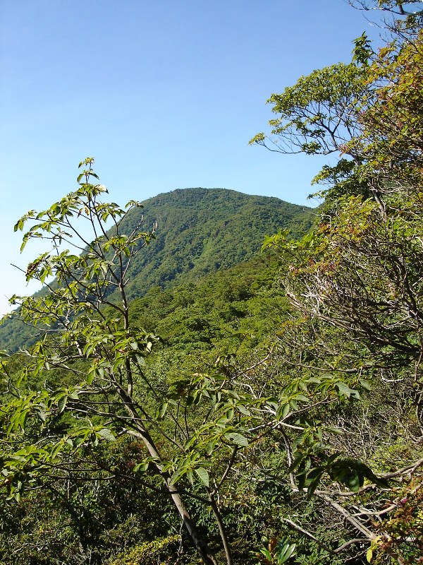 f0039234_19275711.jpg