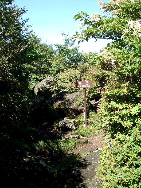 f0039234_19283738.jpg