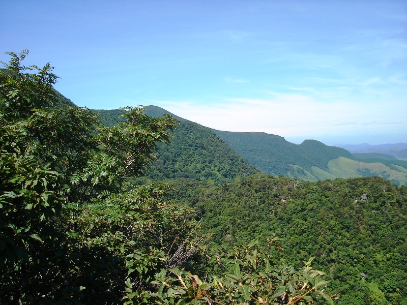 f0039234_19285354.jpg