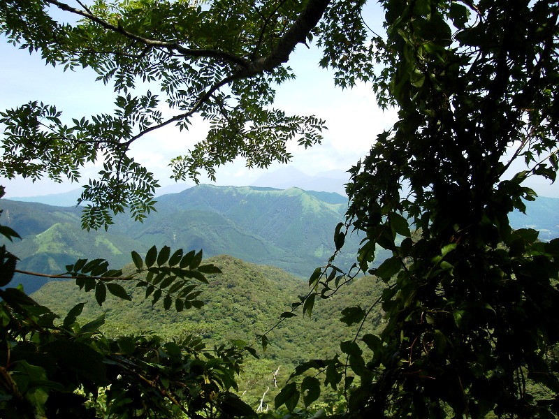 f0039234_19294979.jpg