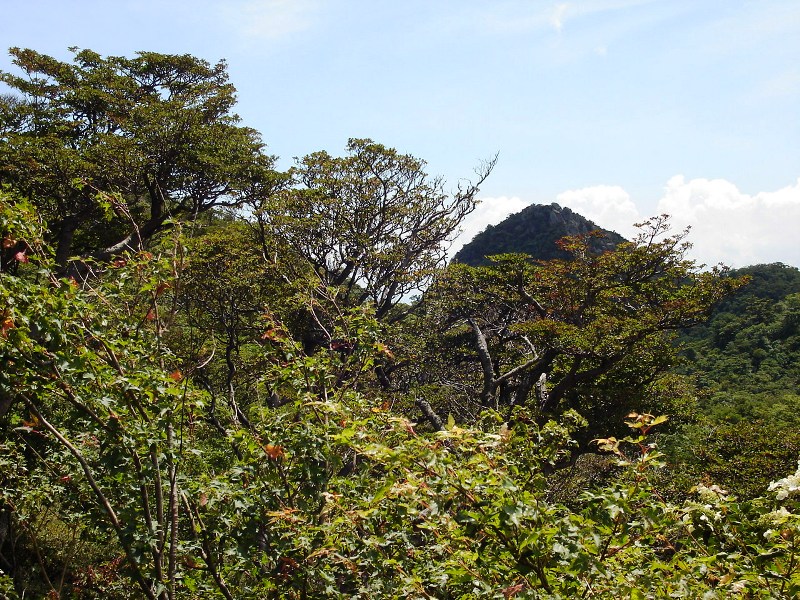 f0039234_19302720.jpg