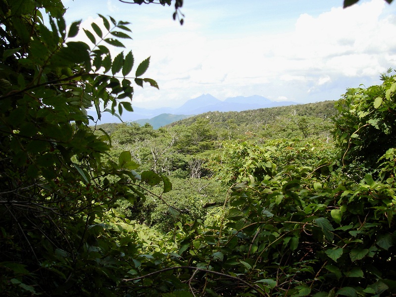 f0039234_19304518.jpg