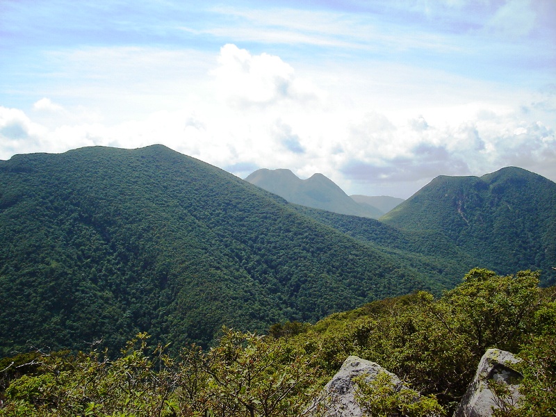 f0039234_1931030.jpg