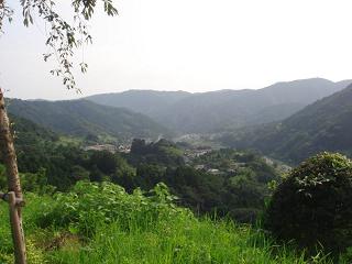 a0048040_12421226.jpg