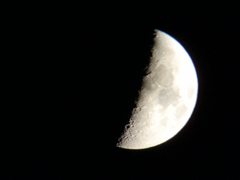 e0005548_0521265.jpg