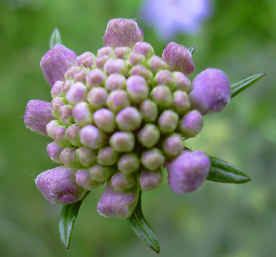 a0001354_19314446.jpg