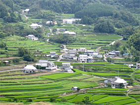 f0062055_7183623.jpg