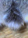 f0104057_232890.jpg
