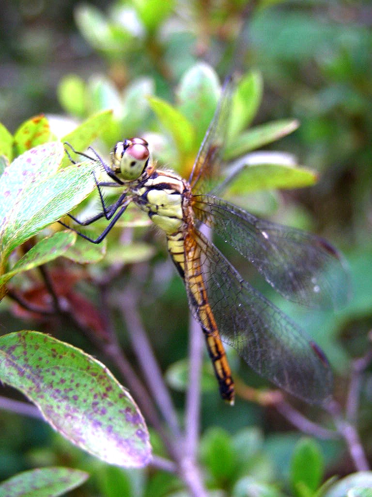 e0064158_05566.jpg