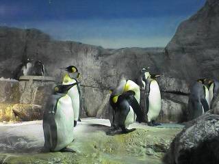 a0004359_2321533.jpg