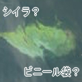 a0030168_1057373.jpg