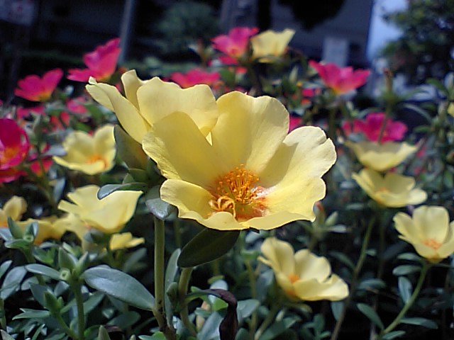 d0079373_21484780.jpg