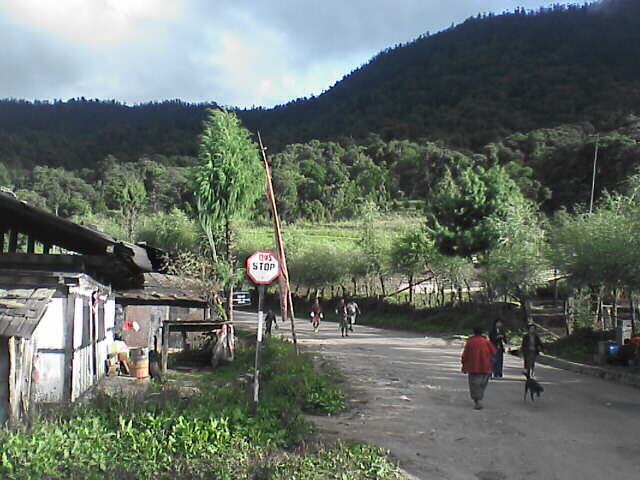 c0069380_173454.jpg