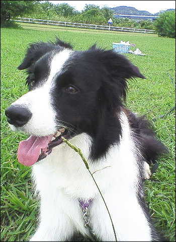 f0082396_22135851.jpg