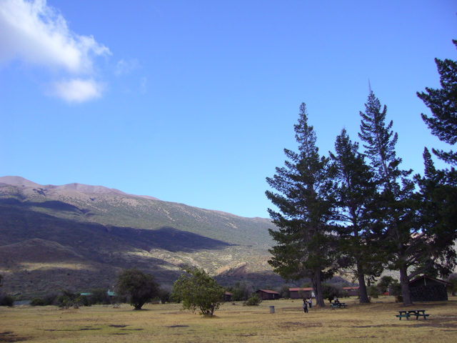 f0077798_223541100.jpg
