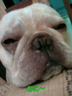 c0023399_736669.jpg