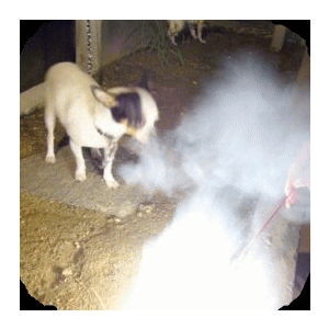 e0032508_20241126.gif