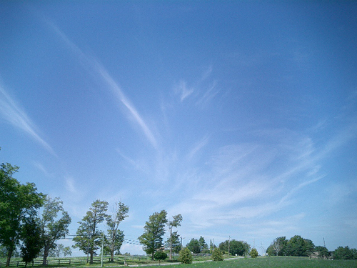 c0057810_13162759.jpg