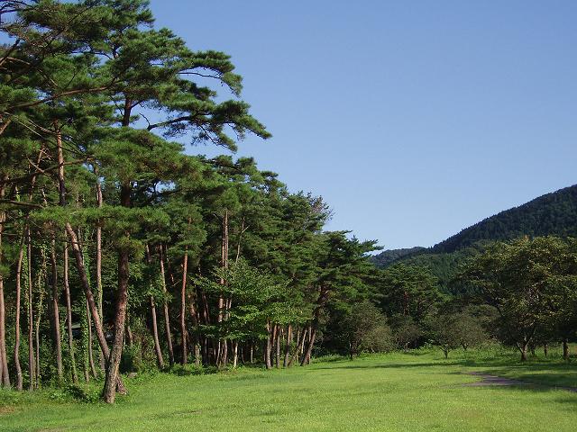 c0086014_8401139.jpg