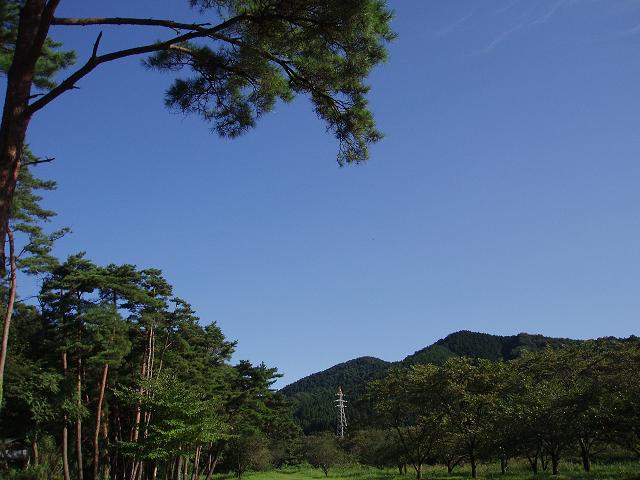 c0086014_840271.jpg