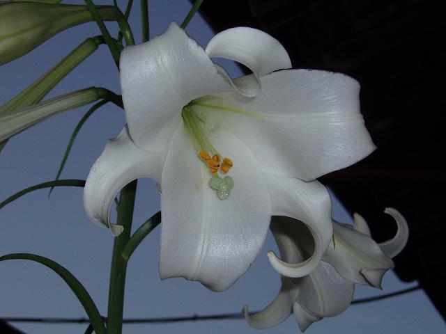 c0086014_8442140.jpg