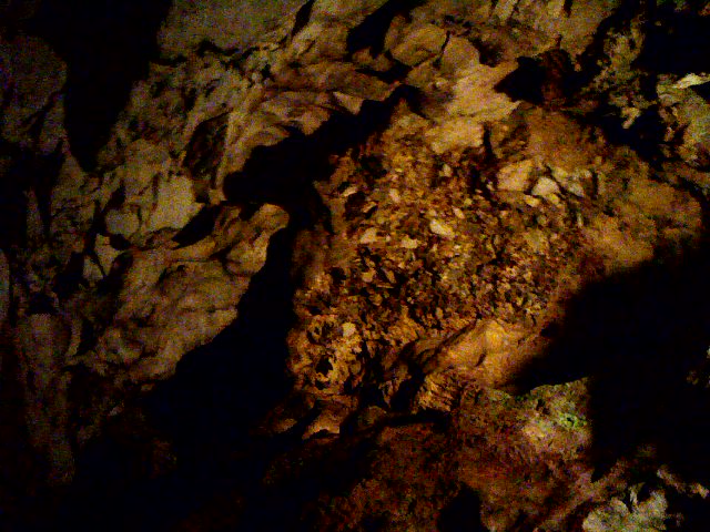 a0030715_8318.jpg