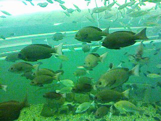 a0030715_8405999.jpg