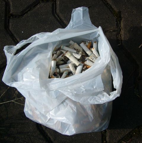 f0100920_1513567.jpg
